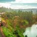 புகையிரத டிக்கெட் முன்பதிவுக்கு அடையாள அட்டை கட்டாயம்