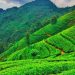 மத்திய மலைநாட்டைப் பாதுகாத்துமேம்படுத்த பல்வேறு வேலைத்திட்டங்கள்
