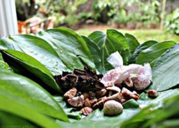 வெற்றிலைப்பாக்குடன்  , புகையிலை   விற்பனை  செய்வோருக்கு எதிராக கடும் சட்ட நடவடிக்கை