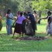 மேல் மாகாணத்தில் நாளை முதல் விசேட டெங்கு ஒழிப்பு நடவடிக்கை