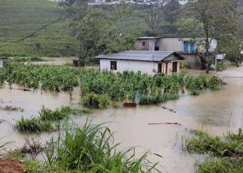 கொட்டக்கலையில் மழைவெள்ளம் சுமார் 40 குடும்பங்களுக்கு பாதிப்பு