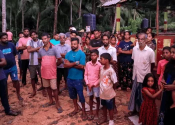 பெல்மதுளையில் பாரிய மரக்கிளை முறிந்து விழுந்து 6 லயன் அறைகள் சேதம்!