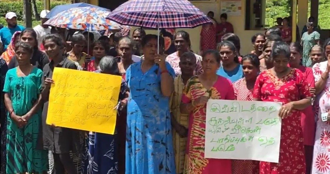 கொட்டகலை லொக்கில் தோட்டத்தில் மர ஆலை அமைக்க எதிர்ப்பு